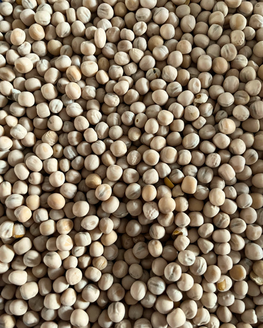 Pois brut