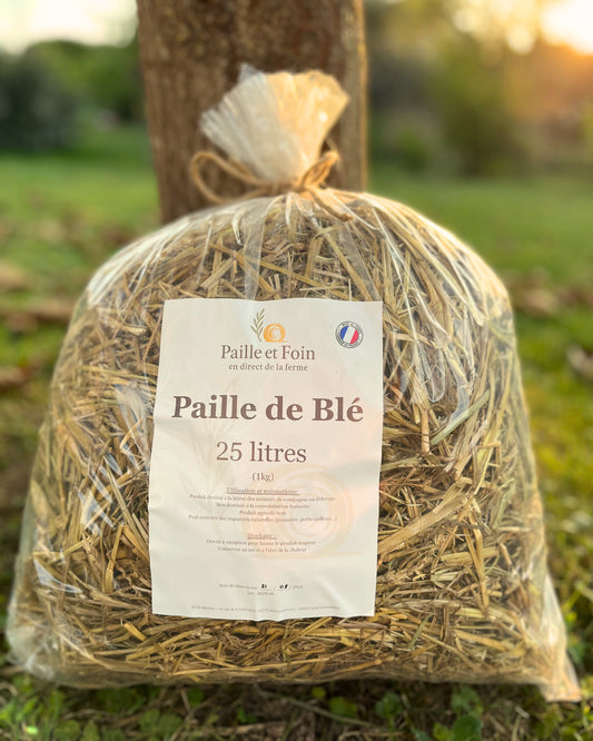 Paille de blé